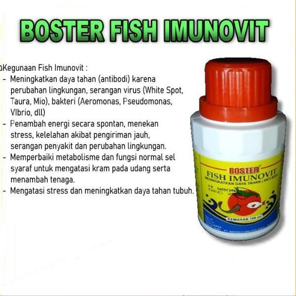 Madu Vitabumin 60ml Ekstrak Ikan Gabus Multivitamin Suplemen
