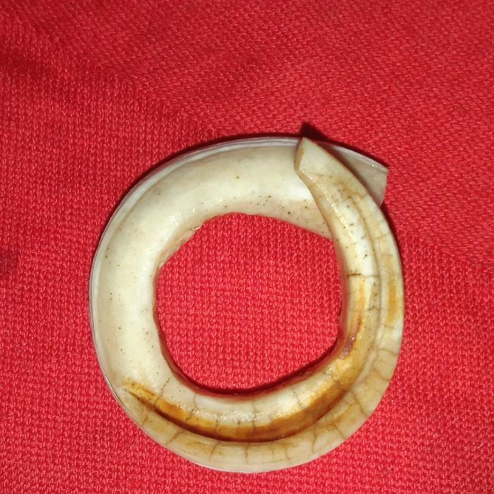 taring tarbi babi nguraak tua kalimantan kalung gelang adat tarbi