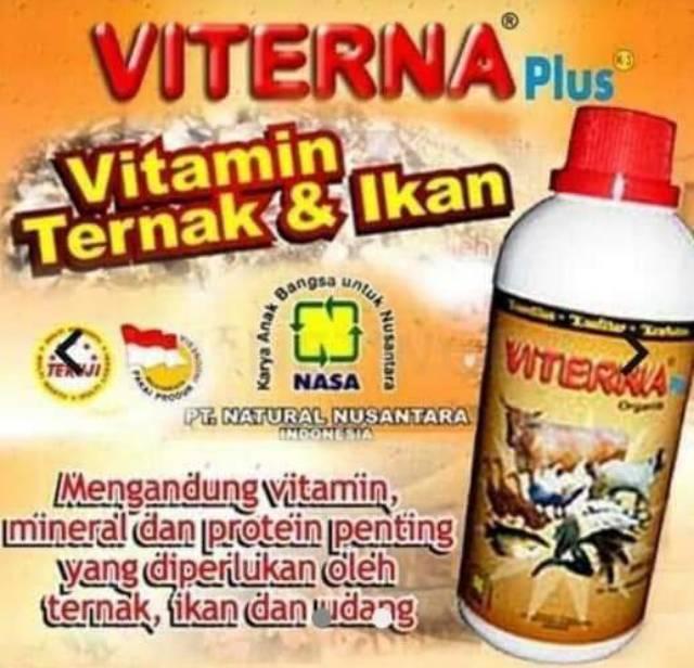 Calcium Lactate Vitamin Ayam dan Burung