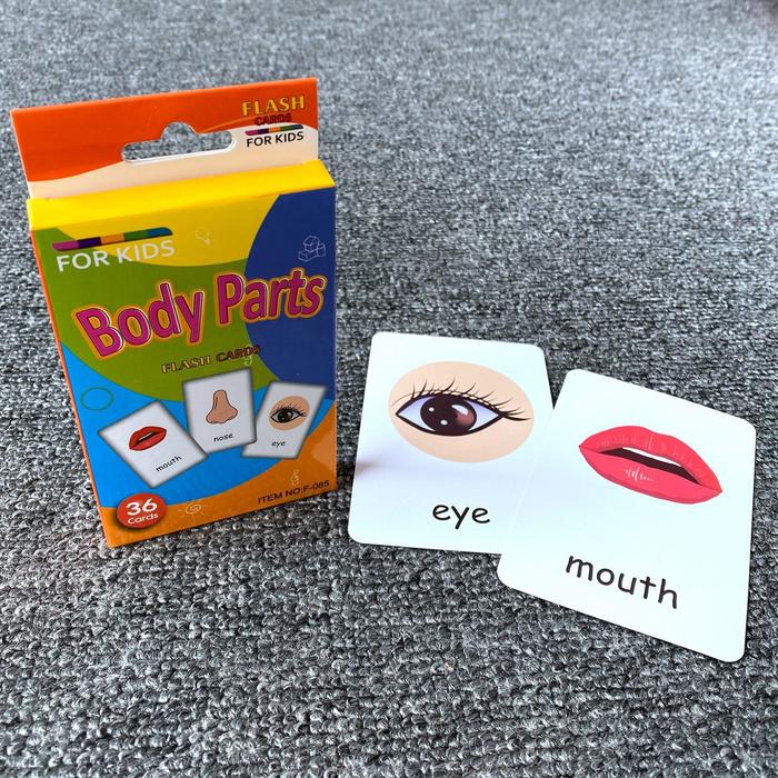 Children's Early Physical Cognition English Word Education Card