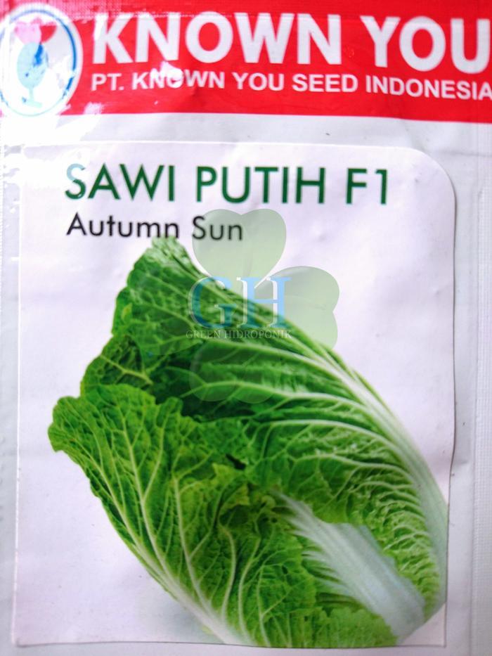 Benih Bibit Sawi Putih F1/AUTUMN SUN, by Known You Seed