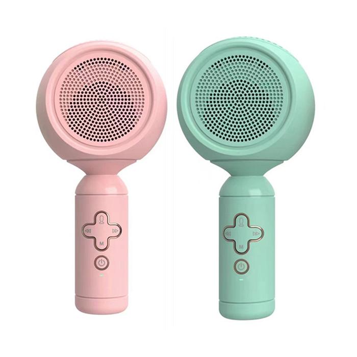 Handheld Wireless Microphone Echo Reverberation Music Karaoke