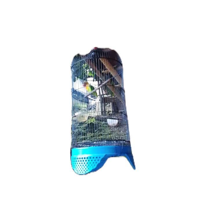 kandang burung Lovebird fs