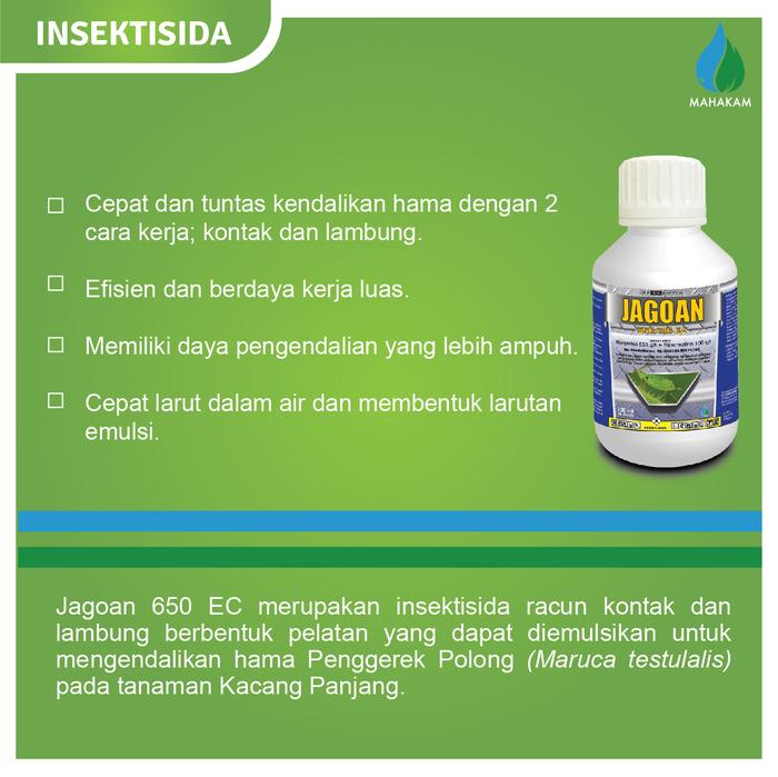 Singkal Double Bajak Pertanian