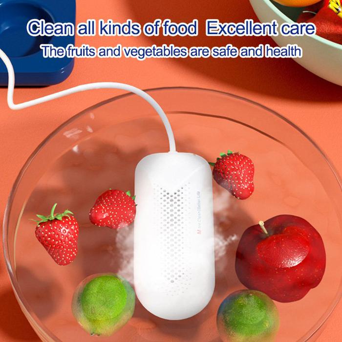 Protable Fruit vegetable cleaning purifier ozone generator ozone