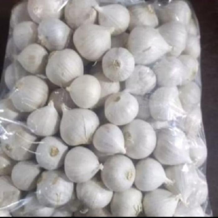 Bawang Putih Tunggal/Bawang Lanang Impor Fresh 500 gram