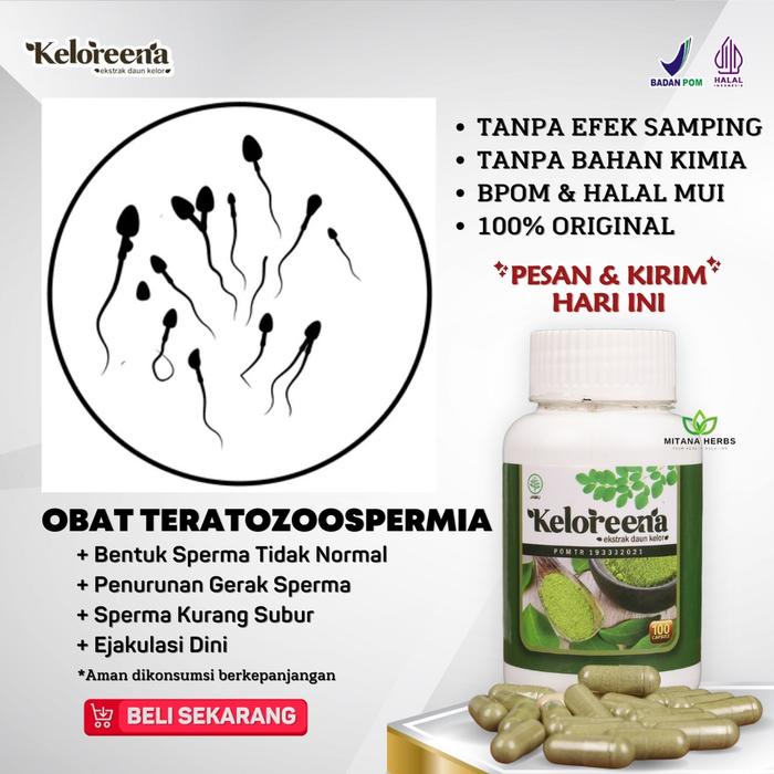 OBAT TERATOZOOSPERMIA BENTUK SPERMA TIDAK NORMAL - OBAT MANI ENCER DAN PENYUBUR PRIA - OBAT PENGENTA