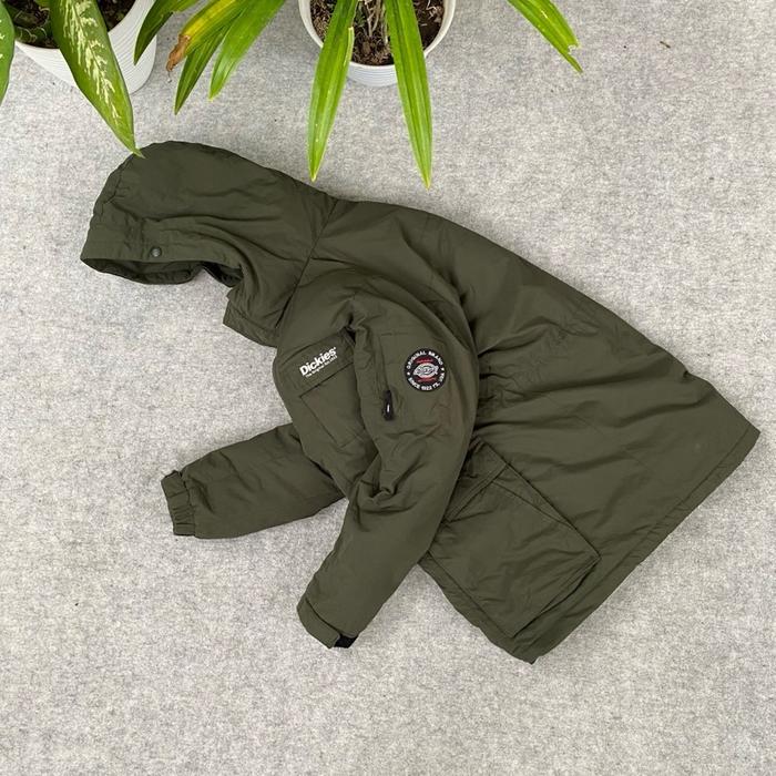 Jacket winter mountain parka dickies ecwcs rare colour super cakep banget
