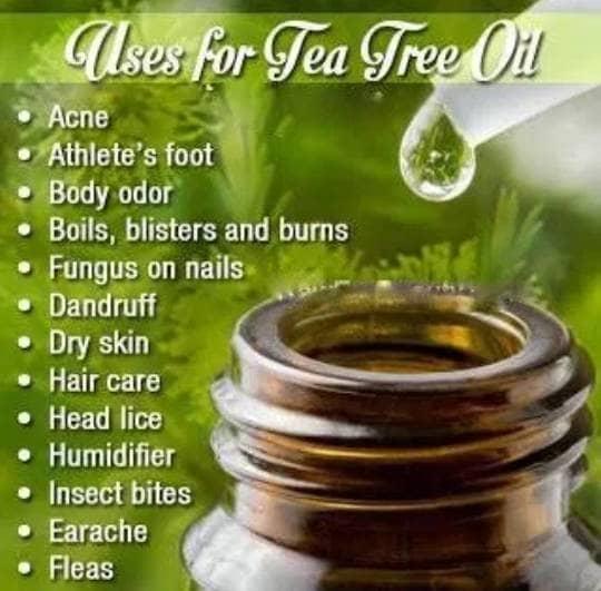 Tea Tree Oil/Pure Essential Oil 5 Ml