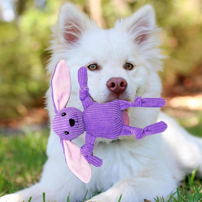 Interactive Chew Toys For Dog Squeaky Plush Dog Puppy Chew Toys For Teething Interactive Plush Squea