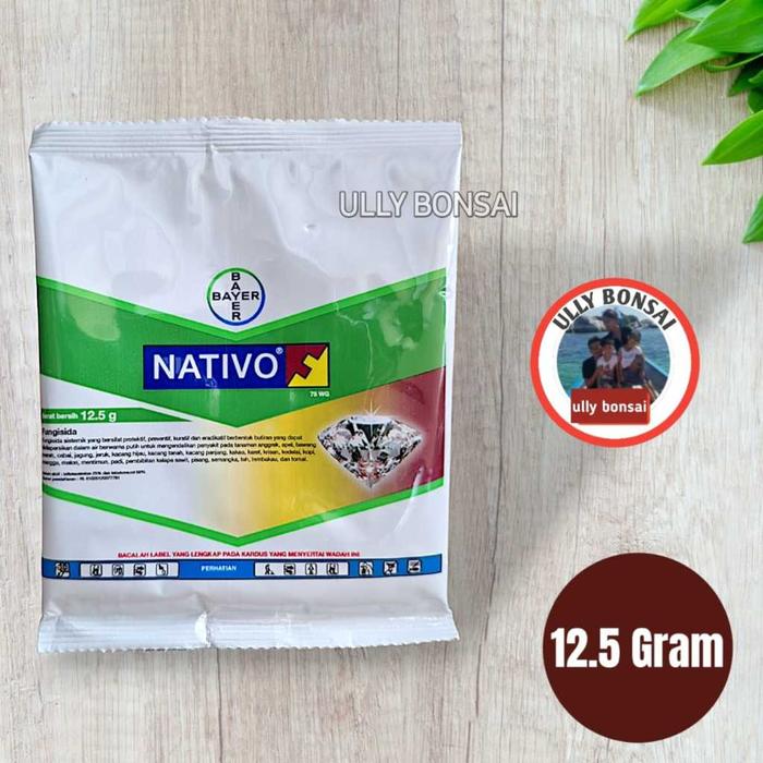 Fungisida Nativo 75 WG 12.5 Gram Harga Per Sachet