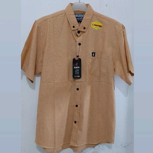 Kemeja pandemic lengan pendek bahan katun berkualitas