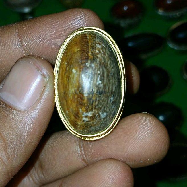 cincin batu akik posil kelor merah lawasan