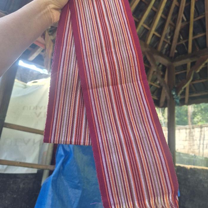 bangsing coklat dan bangsing merah hati dipadukan dengan warna warni