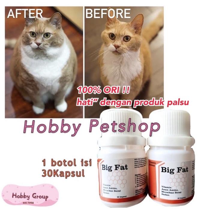 VITAMIN + B-COMPLEX MULTIVITAMIN KHUSUS MERPATI 25KAPSUL