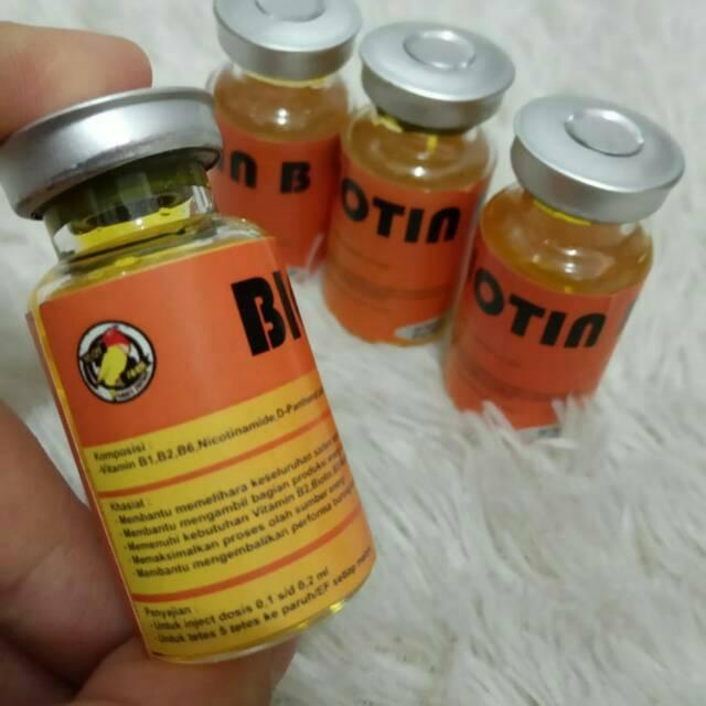 Vitamin burung kenari | vitamin burung gacor | sup plus bird