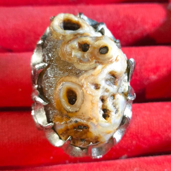 batu akik klanceng putih asli natural