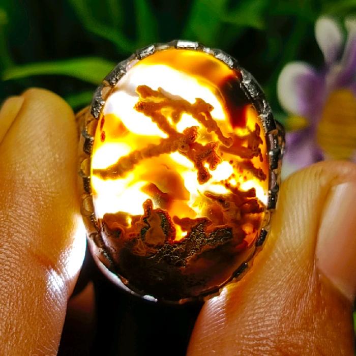 Cincin Batu Akik Bulu Perindu Akar Gingseng