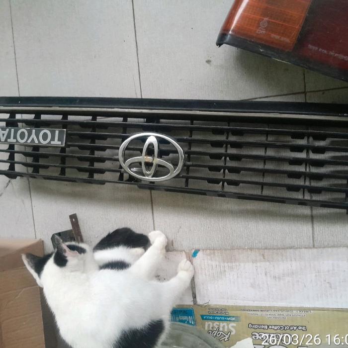 Grill toyota corolla DX 82 83