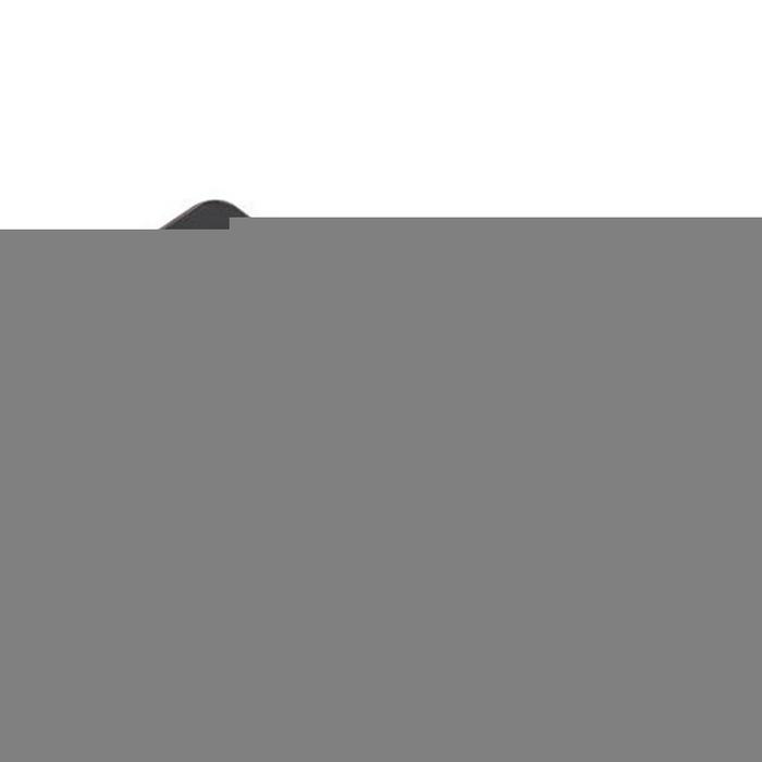 Professional Digital Audio Recorder Speaker Digital Voice Recorder