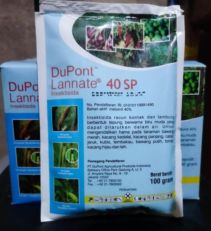 SPRAYER HAMA ATAU SEMPROTAN HAMA TERMURAH ALAT PERTANIAN SEMPROTAN