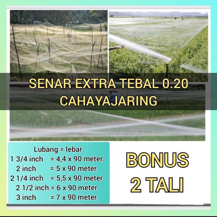 Jaring Padi Sawah Senar 0.20 / Jaring Penutup Sawah / Jaring Burung Pipit Dan Emprit
