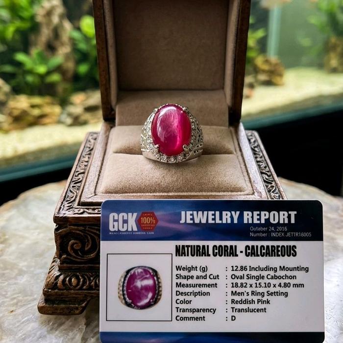Batu Akik Ruby kerang laut   Super Mewah Termurah HQ Harga promo Memo Hanya Sebagai Bukti