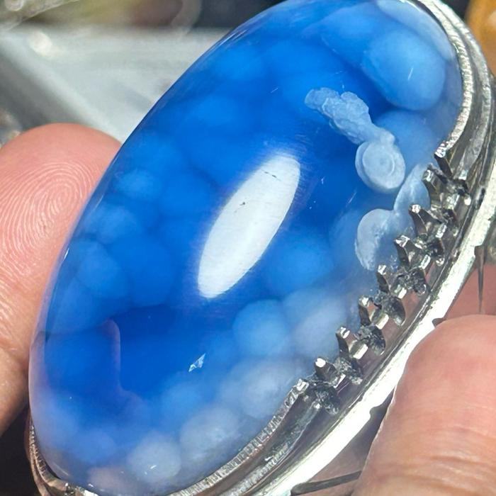 Pandan Suji biru…
