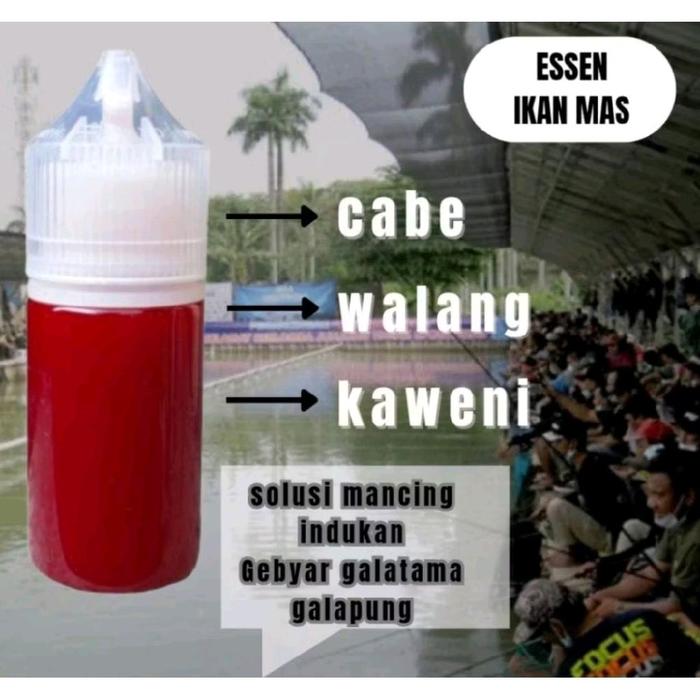 Essen oplosan 30ml essen cabe walang kaweni essen harian lomba galatama galapung essen indukan