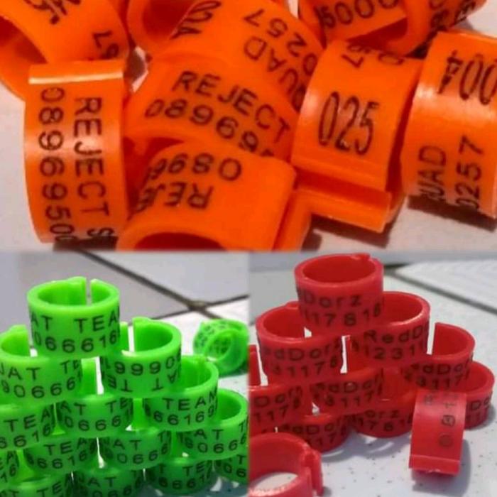 ring merpati dewasa klip isi 10 bisa cetak nama