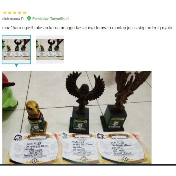 EBOD VIT VITAMIN BURUNG EBOD VIT VITAMIN UNTUK BURUNG VITAMIN BURUNG