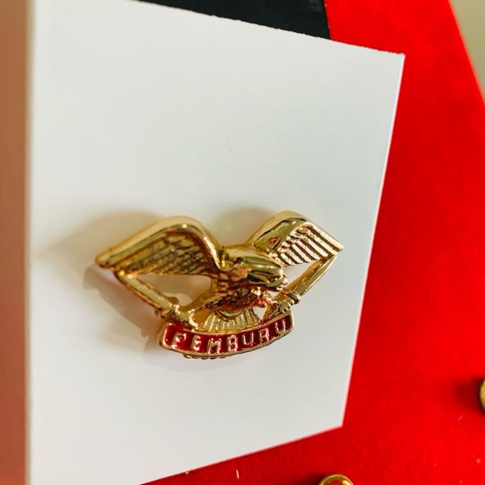 BREVET WING LENCANA PEMBURU TNI