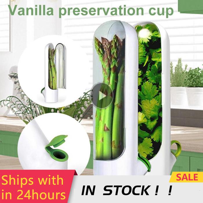Kitchen Gadgets Fresh Herb Keeper Container Clear  Fridge