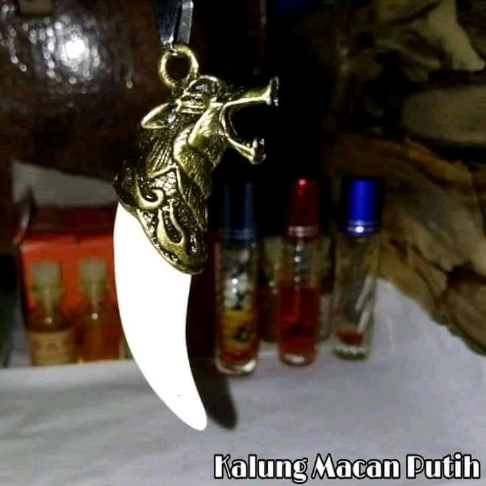 Kalung Macan Putih By Yudi Lmp