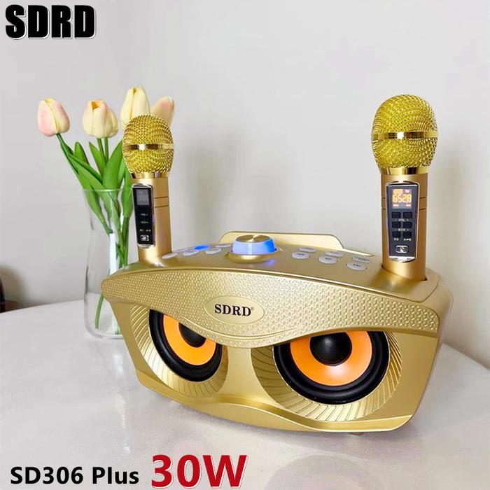 High Quality Family KTV SD306 Plus 2-in-1 Portable Karaoke Wireless