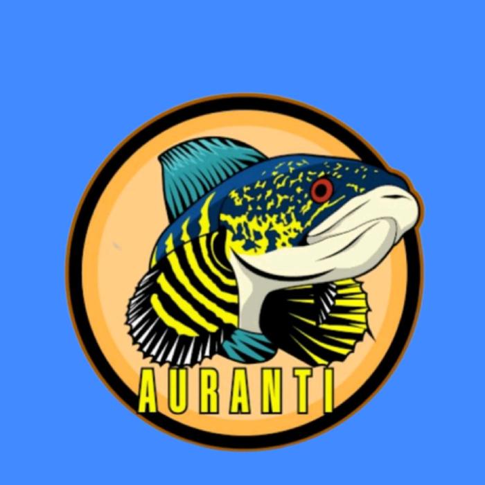 STICKER AURANTI MARCULATA 4-6 CM