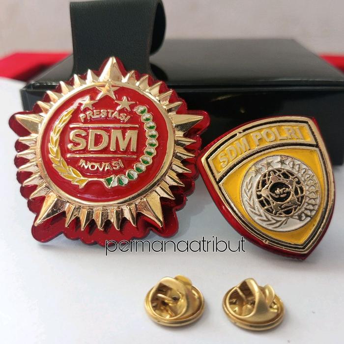 PIN BROS PIN SDM POLRI/RODA SDM POLRI/RODA SDM POLRI GANTUNG