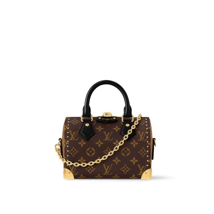 Louis Vuitton,Speedy Trunk 20 Bag,brown