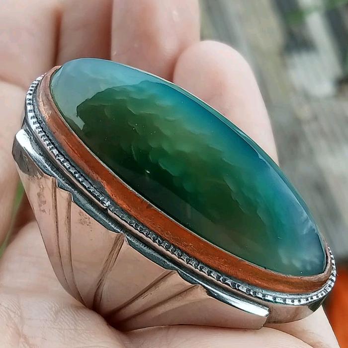 pandan lumut sisik betok sukses elegan buat laki laki..