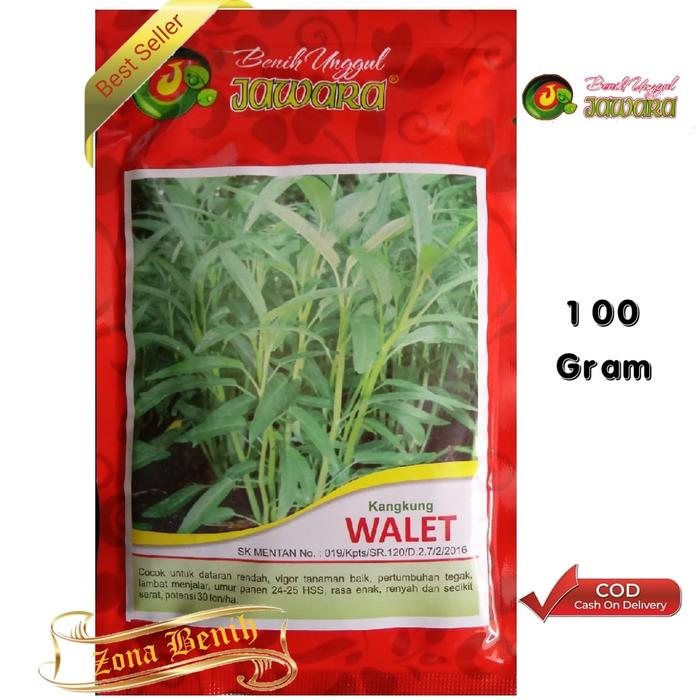 Isi 100 Gram Bibit Kangkung WALET | Benih Kangkung Unggul | Bibit Sayuran