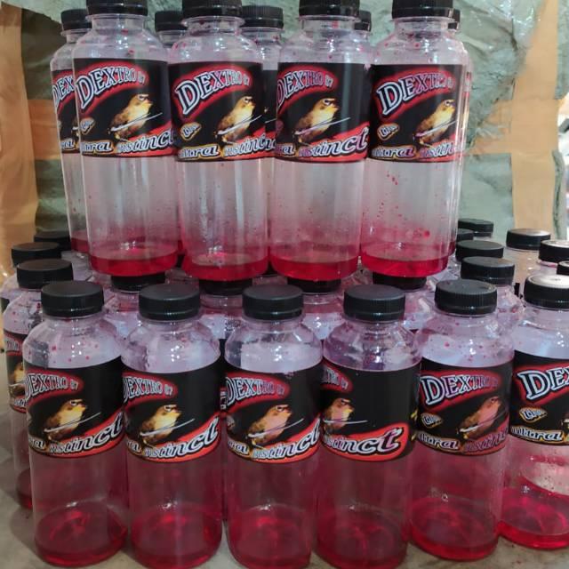 DOPING KACER POCI Macet stres dan lomba, doping burung alami, obat