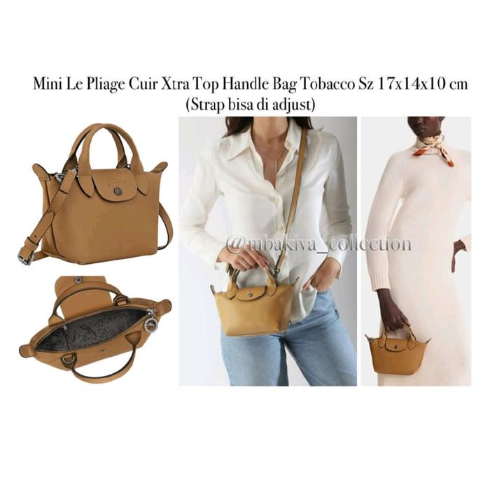 Mini Le Pliage Cuir Xtra Top Handle Bag Brown