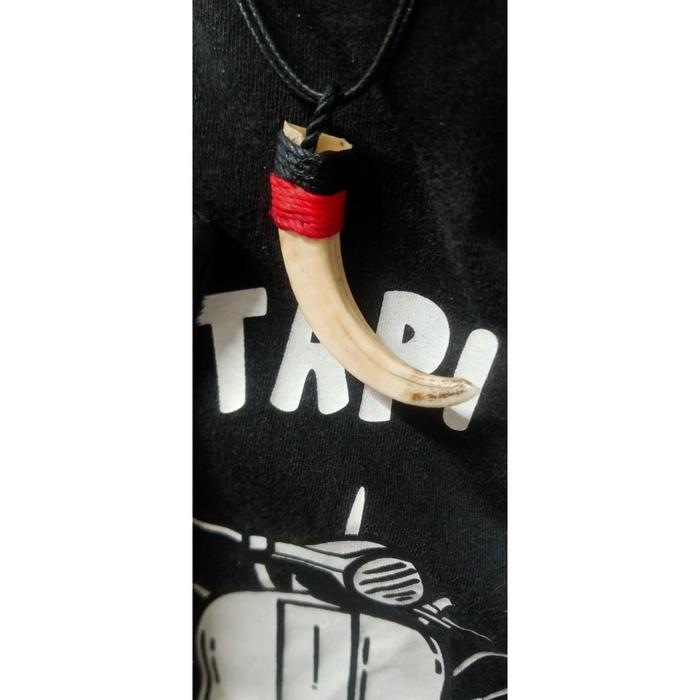 KALUNG TARING BABI ASLI ( BUKAN RESIN / TULANG SAPI )