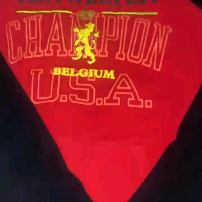hodie Champions Antwerpen Belgium.second brand . original Hoodie