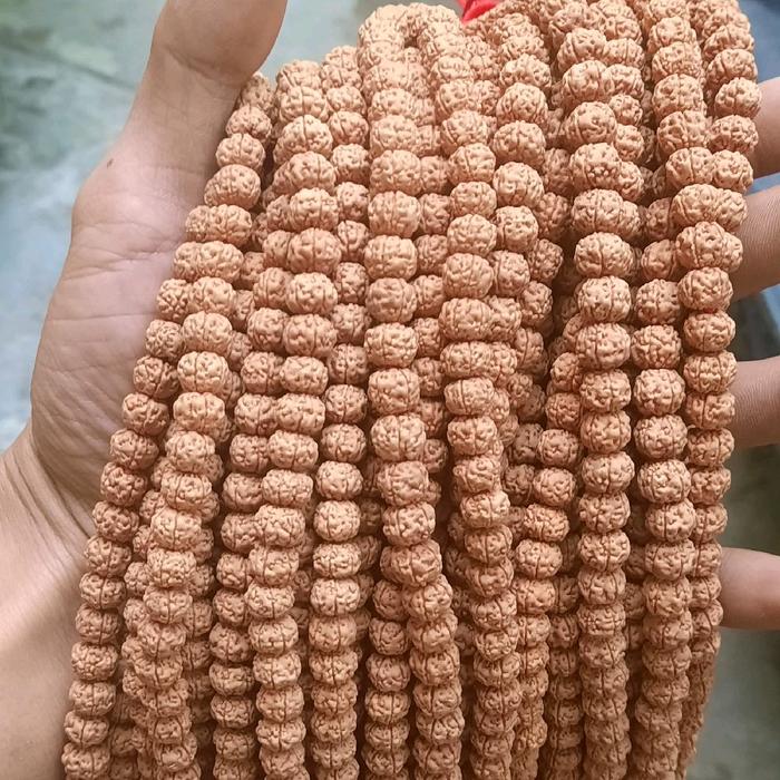 kalung jenitri/Rudraksha ukuran kecil