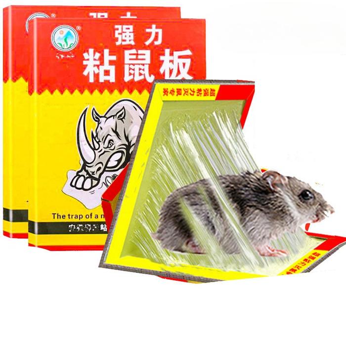 5PCS Lem Perangkap Tikus Mouse Stiker Grosir Perangkap Tikus Kuat Lengket Lem Perangkap Tikus Lem Pe