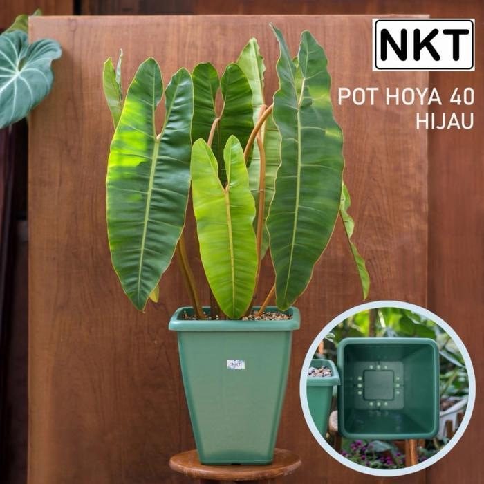 pot bunga | POT HOYA 40 cm | pot Tinggi | POT NKT | warna hijau
