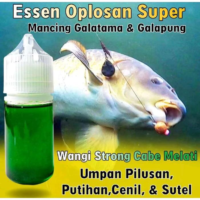 Essen Ikan Mas Indukan, Essen Ikan Mas Babon, Essen Ikan Mas Galatama, Essen Ikan Mas Galapung, Esse
