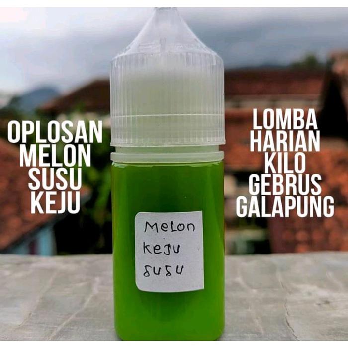 Essen oplosan ikan aroma melon susu keju spesialis lomba harian kilo gebrus galapung terbuat dari ba