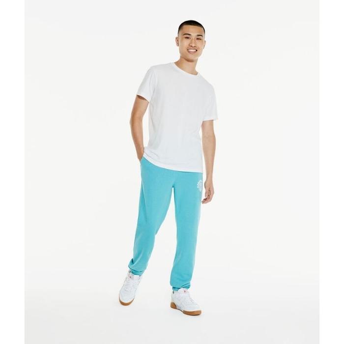 sweatpants/jogger pants aeropostale